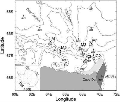 Seasonal Evolution of Cape Darnley Bottom Water Revealed by Mooring Measurements